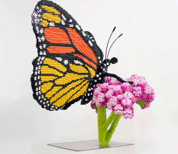 Monarch Butterfly on Milkweed 2
