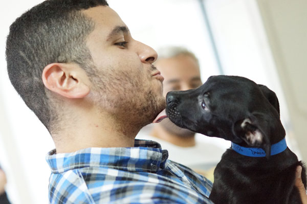 Does your company love animals and want to make a difference?