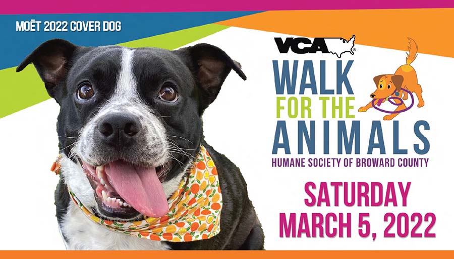 2022 VCA Walk for the Animals