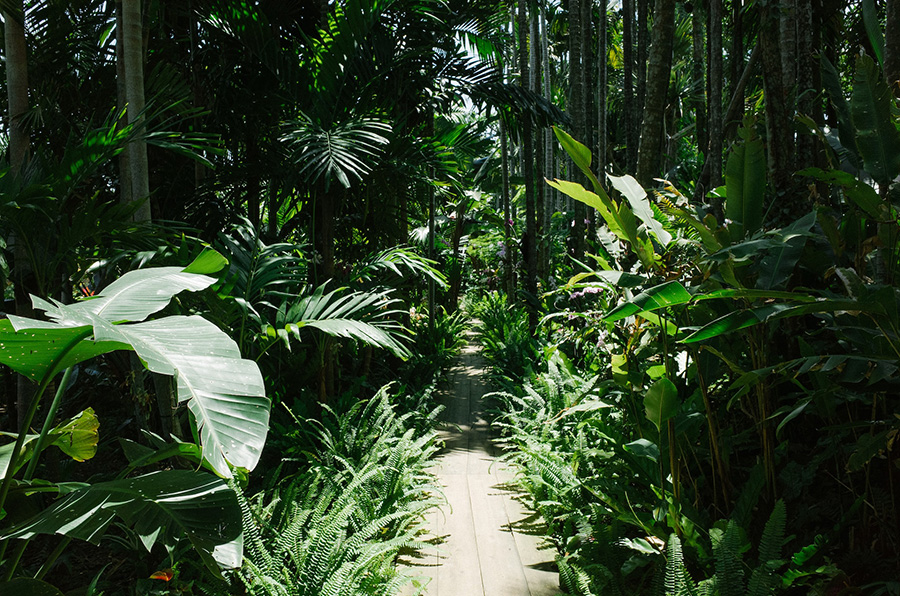 Beautiful Gardens You Shouldn't Miss in Fort Lauderdale