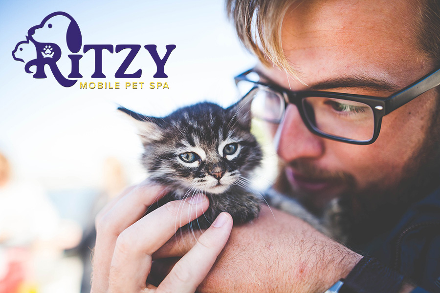 A men with glasses holding a kitten