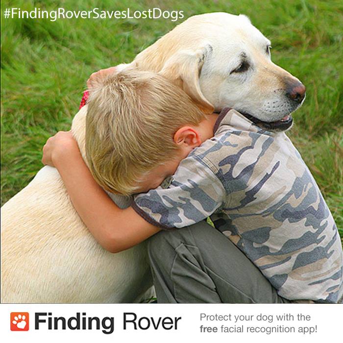 Finding Rover saves lost dogs!