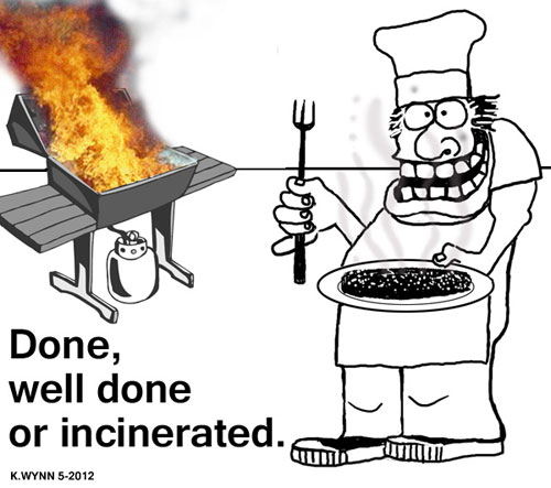 BBQ grill2