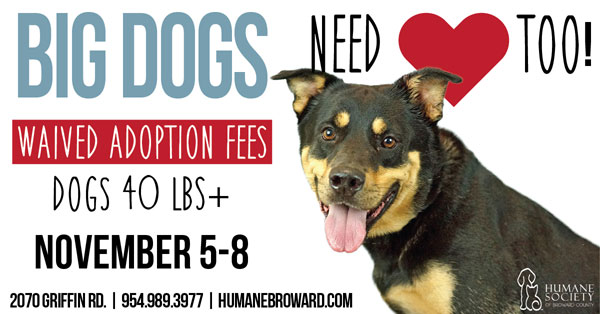 Big Dogs Need Loving Too