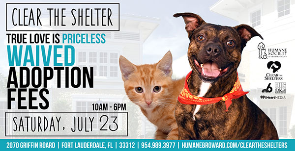 Clear The Shelter Facebook Thumbnail 3728548