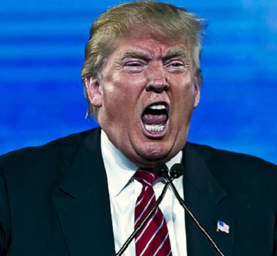 Donald Trump 3372655b