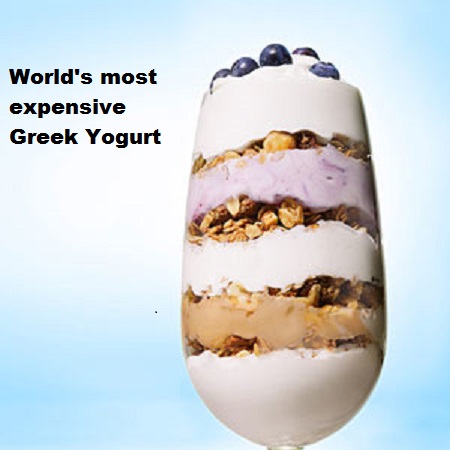 Greek yogurt