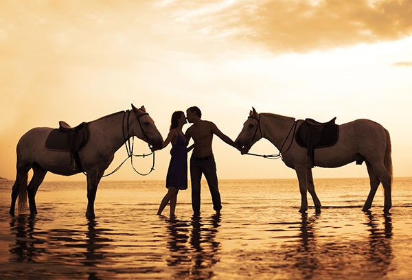 Horseback on the beach
