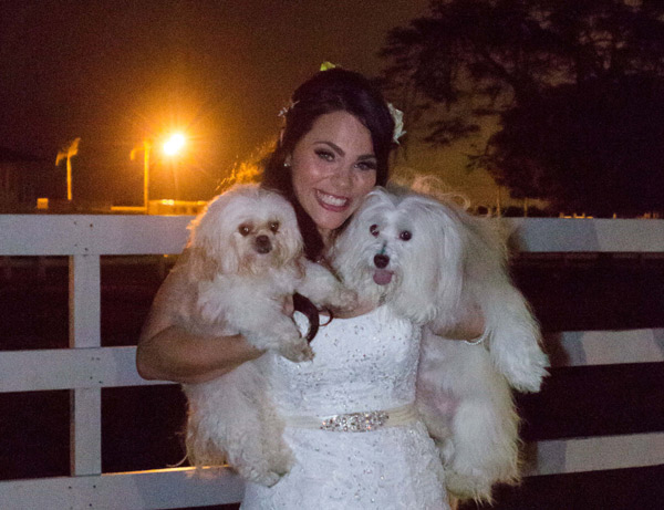 Nina and dogs