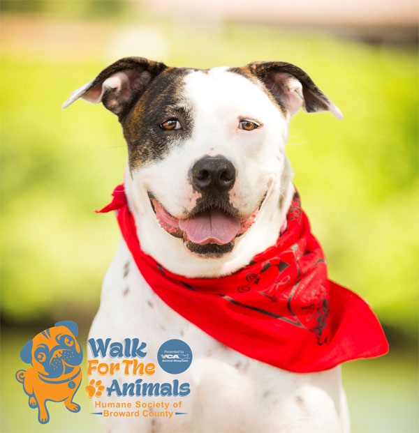 26th Annual WALK FOR THE ANIMALS Pr