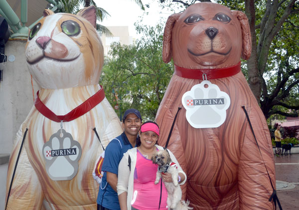 Walk for the Animals