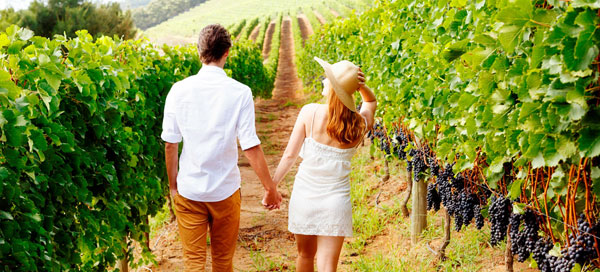 allegretto vineyard resort paso robles california