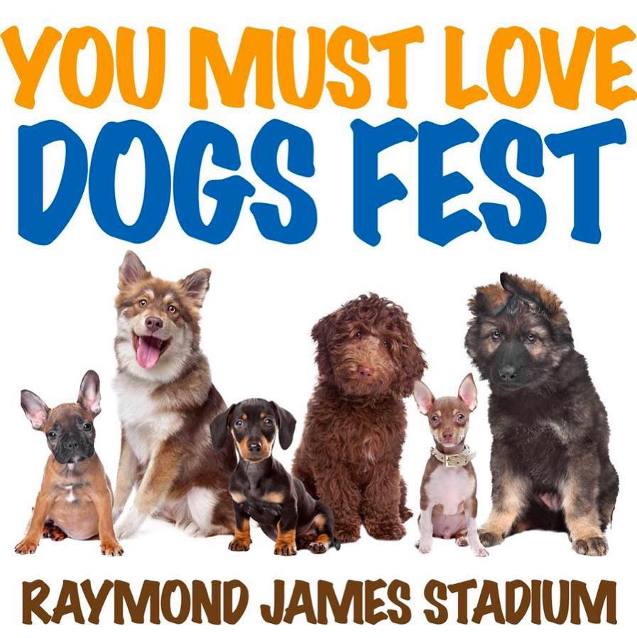 dog festival