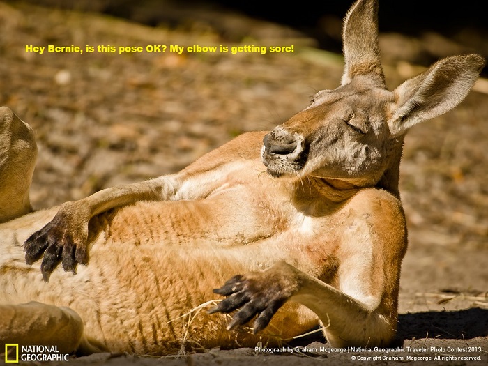 how about this pose