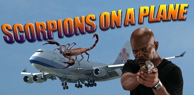 scorpions on a plane