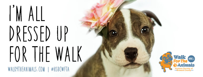 Humane Society of Broward County