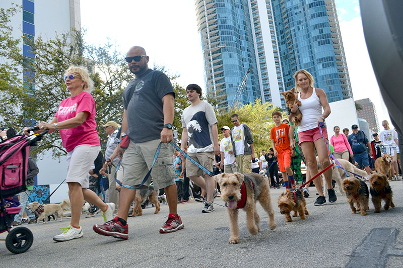 28th Annual Walk for the Animals