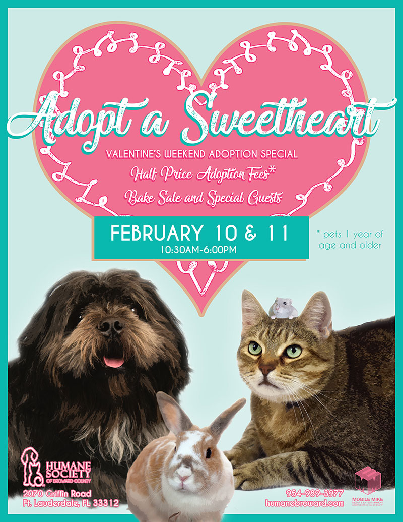 adopt a sweetheart 2018