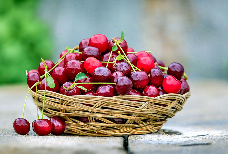 A basket full of red cherries