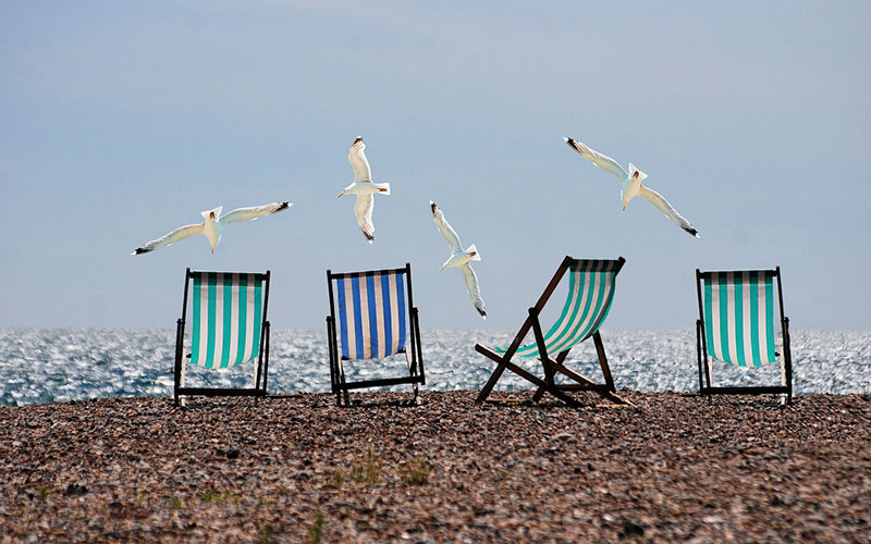 Birds flying at the beach and empty beach chairs