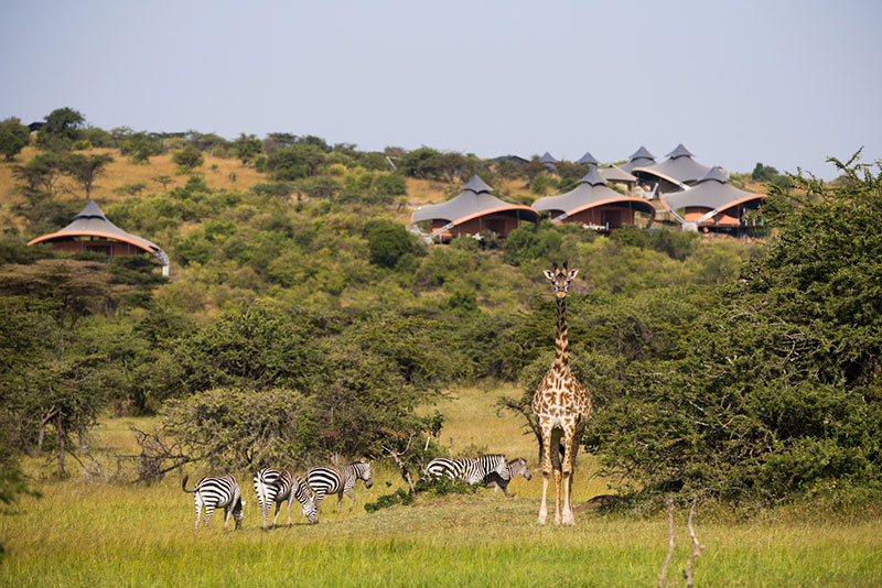 Sir Richard Branson’s luxury tented safari camp, Mahali Mzuri, located in Kenya’s Olare Motorogi Conservancy.   