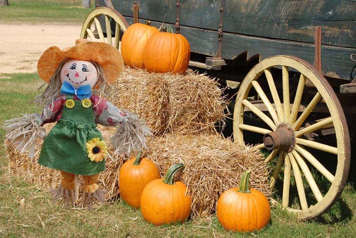 small file cart with pumpkin and scarecrow