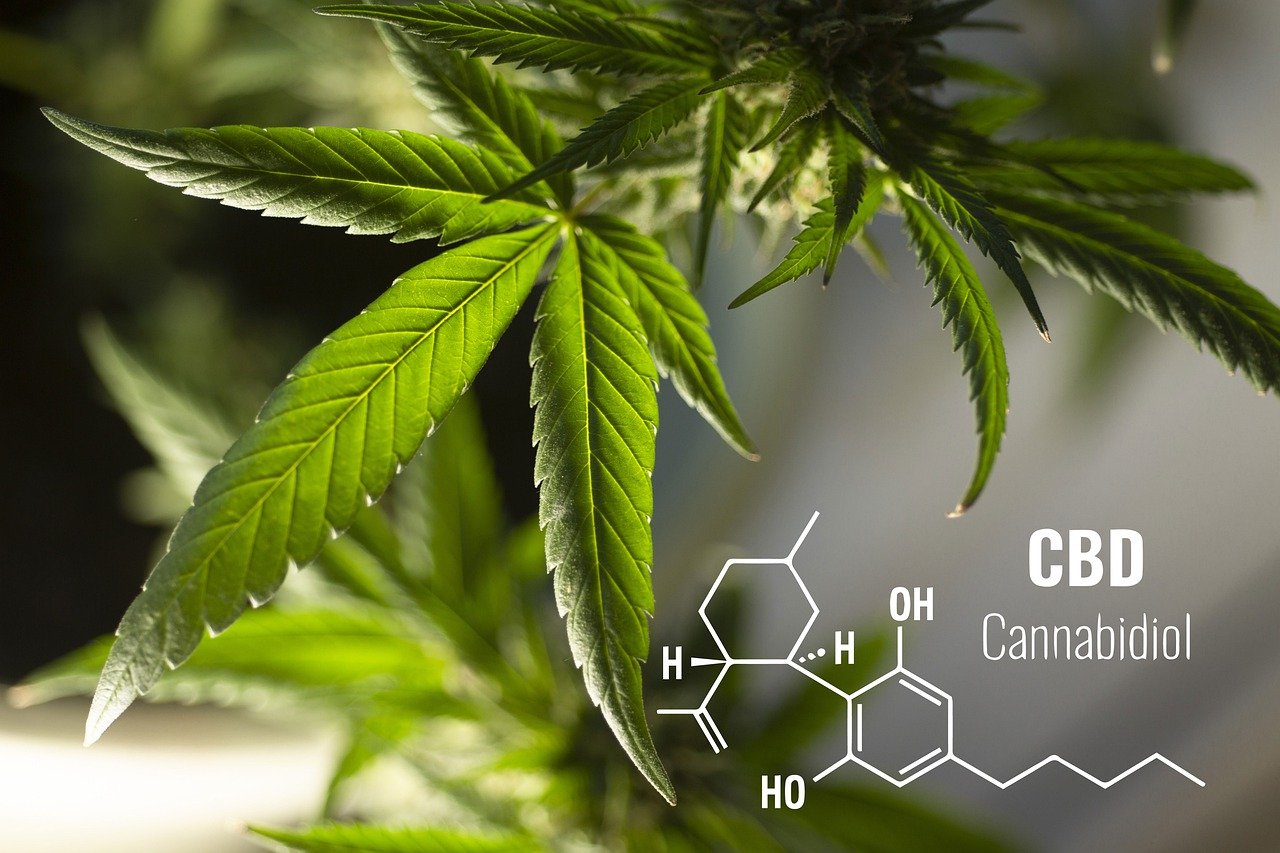CBD vs. THC: How They Differ