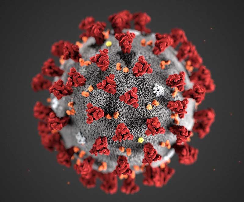 Coronavirus 3d Model