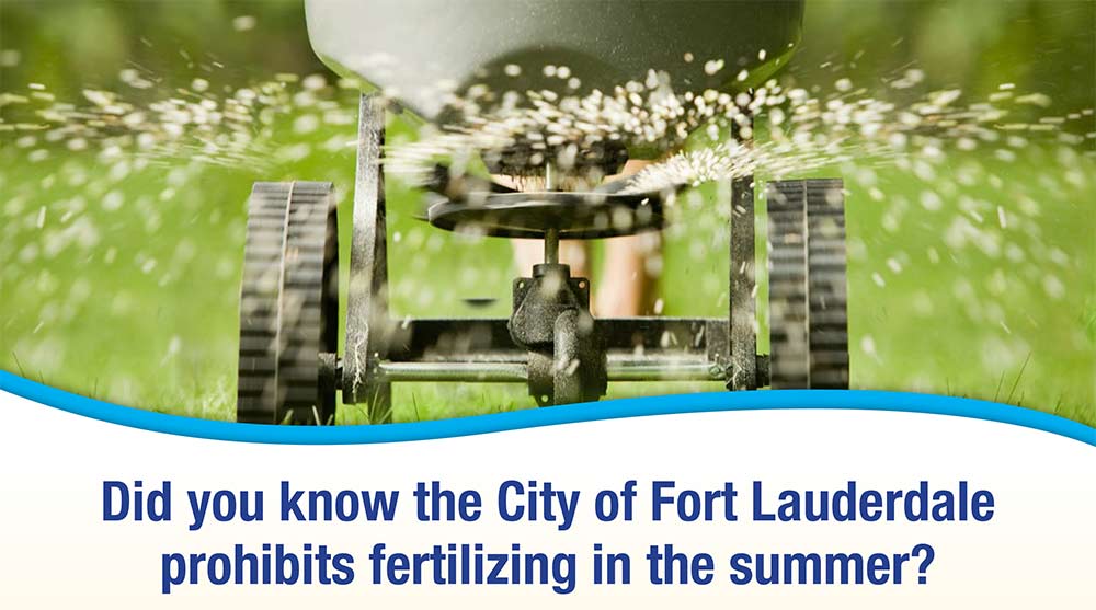 Did you know the City of Fort Lauderdale prohibits fertilizing in the summer?