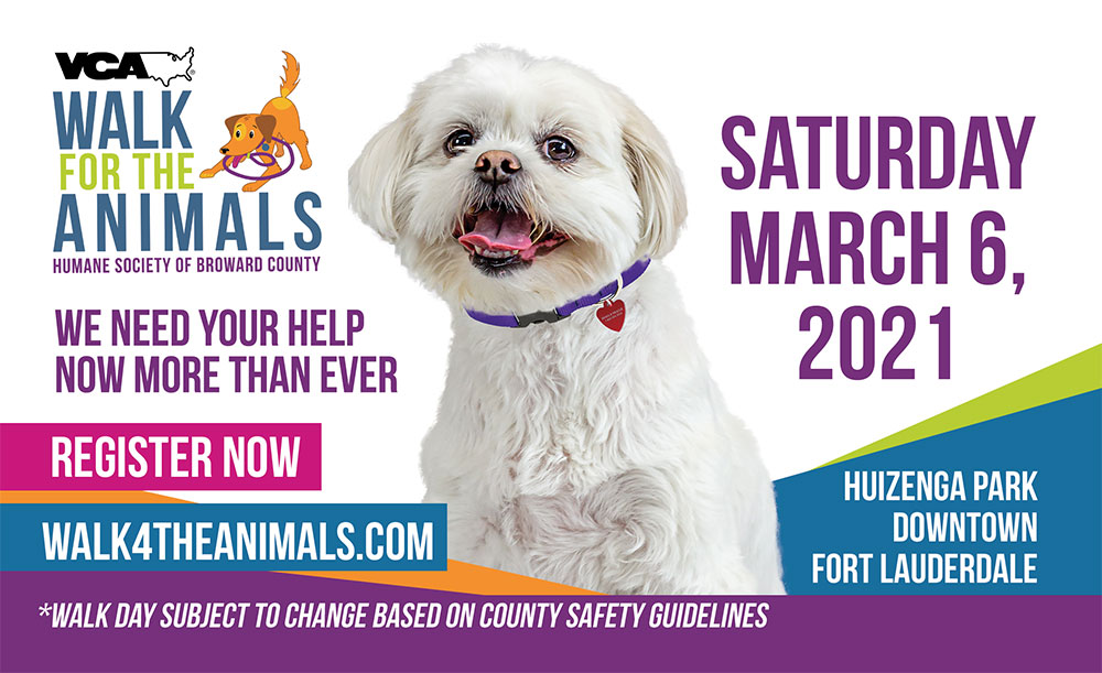 31st Annual VCA Walk For The Animals Benefitting The Humane Society Of 