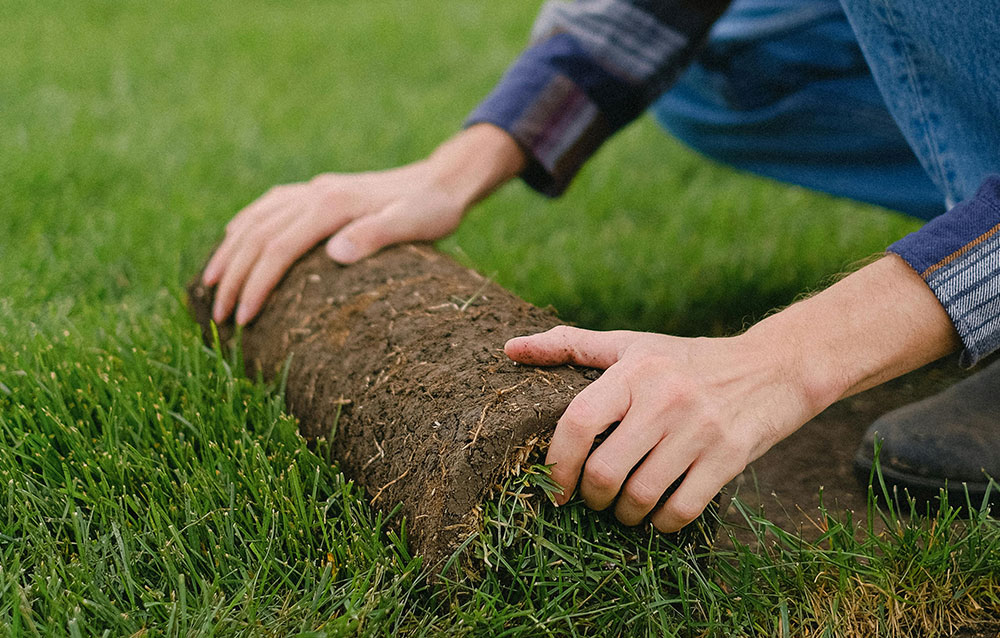 best time to Lay Sod in Florida