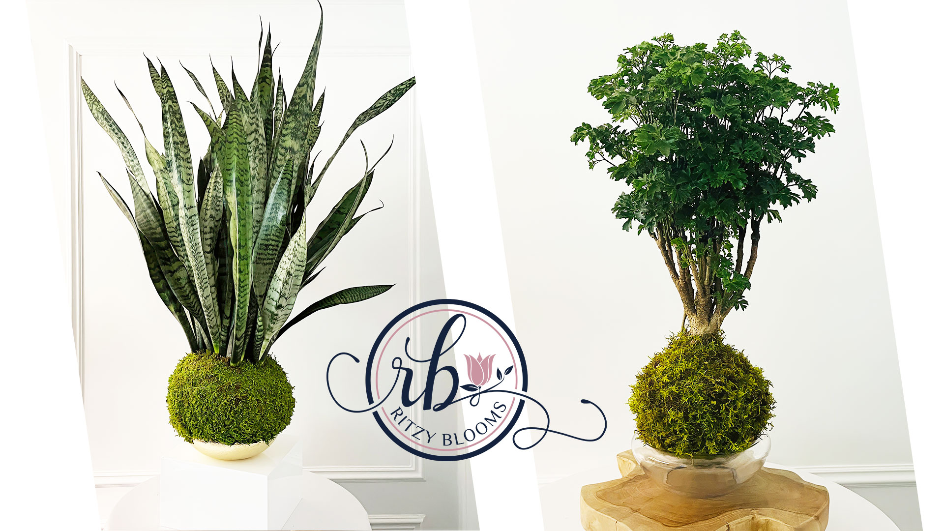 Minimalistic Modern Planters in Fort Lauderdale: A Guide to Stylish Green Living