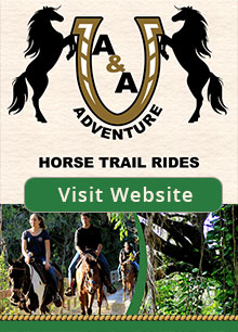 horseback riding south florida