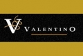 Valentino logo