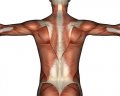 Neuromuscular Therapy
