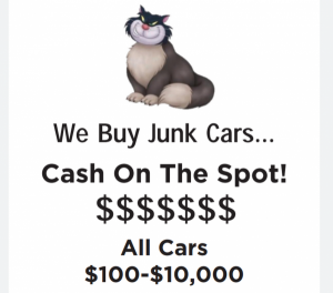 junk-car-cat-dade-county (2)