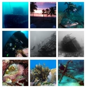 Sea Experience Dive and Snorkel Excursions
