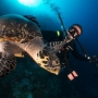 Scuba Diving Instructor: Paul Louis - Fort Lauderdale,FL