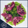 orchids