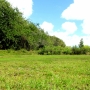 Horseback Riding in South Florida