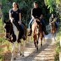 Horseback  Group Riding in South Florida