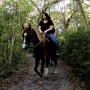 Horseback Riding in South Florida