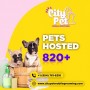 City Pet Mobile Grooming in Fort Lauderdale