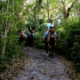 Horseback Riding in South Florida