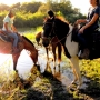 Horseback  Group Riding in South Florida