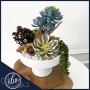 succulent planter