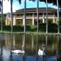 Bonnet House Fort Lauderdale