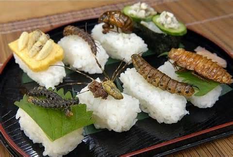 insect dishes