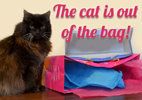 June-Cat-Specials-copy