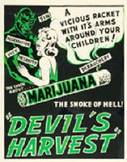 Marijuana the smoke of hell